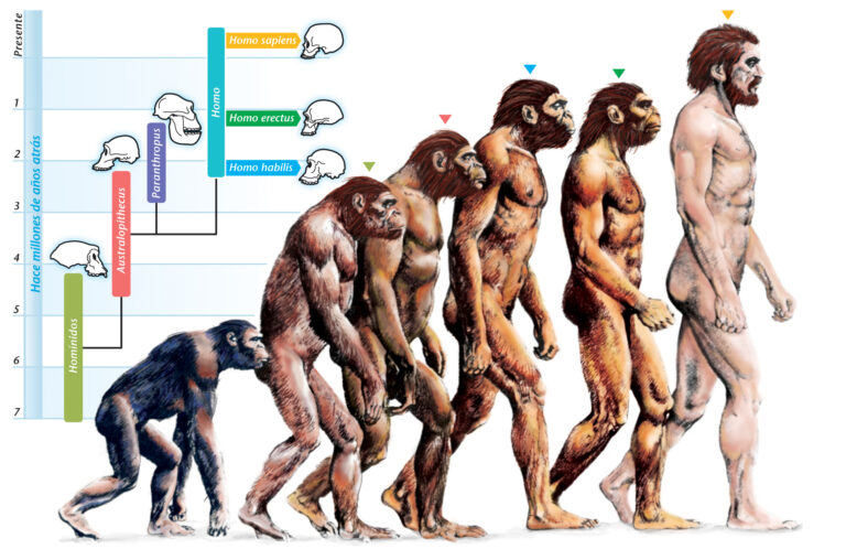 Why Is the Theory of Evolution Not the “Basis of Biology”?