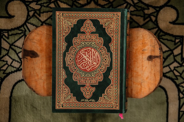 The Noble Quran in English