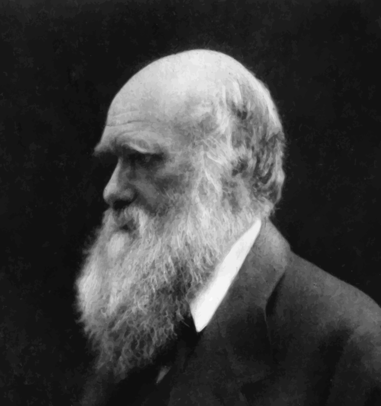 Does Darwinism Contradict the Qur’an?