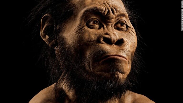 Homo Naledi: The Evolutionist Scenario