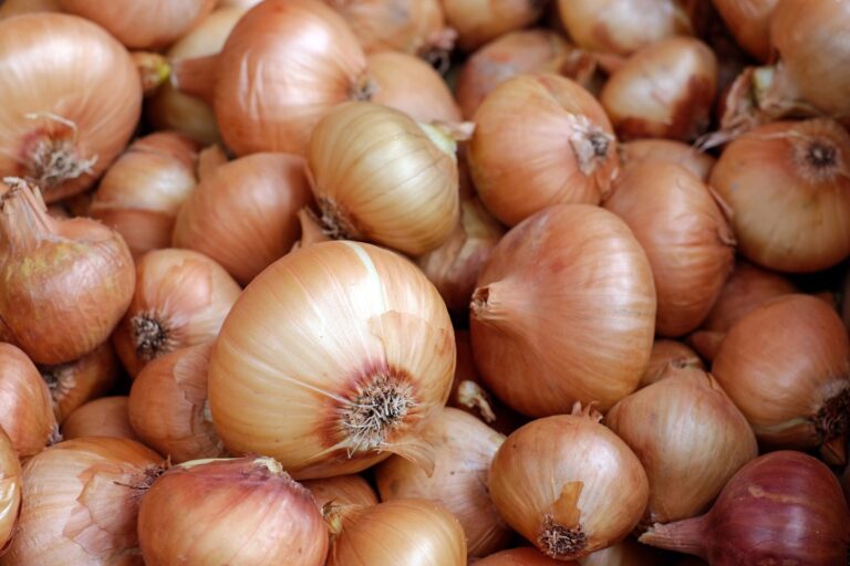 Onions: Where Sweet Meets Tangy