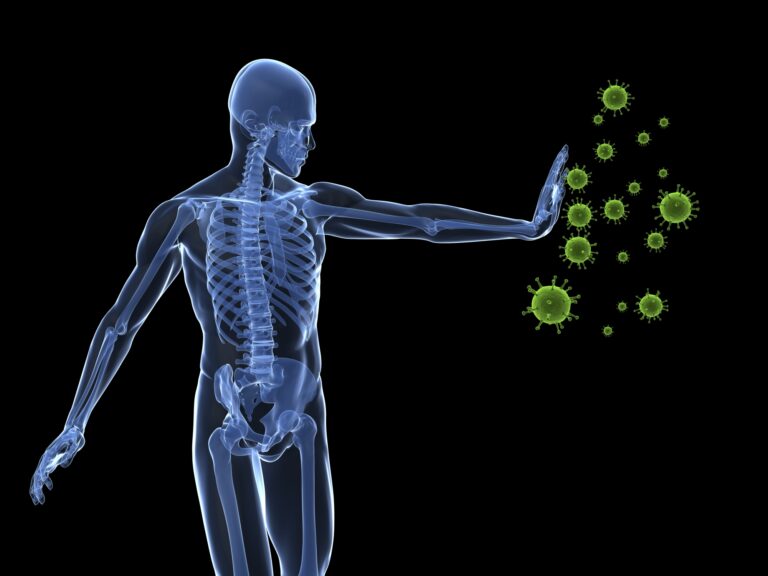 The Army Inside Man: The Immune System